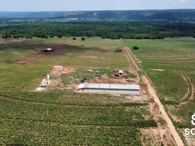 Sítio e chácara venda em Centro, Tangará da Serra