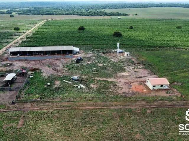 Sítio e chácara venda em Região Geográfica Imediata de Tangará da Serra, Tangará da Serra