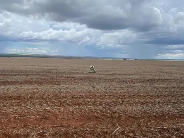 Sítio e chácara venda em Centro, Tangará da Serra
