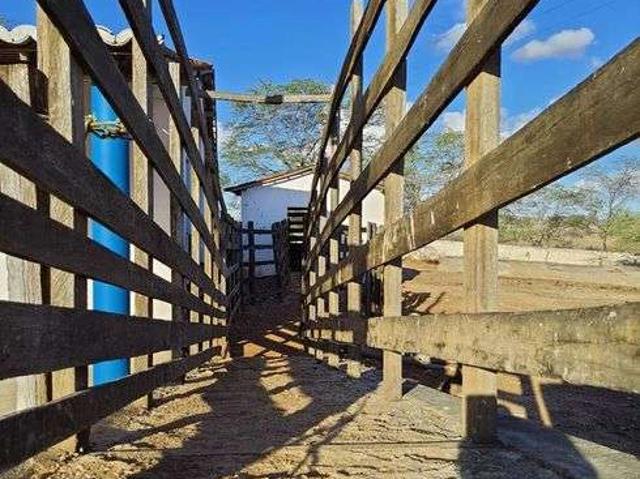 Sítio e chácara venda em Tangará