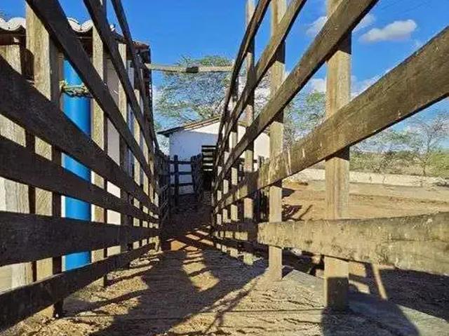 Sítio e chácara venda em Região Geográfica Imediata de Santa Cruz, Tangará
