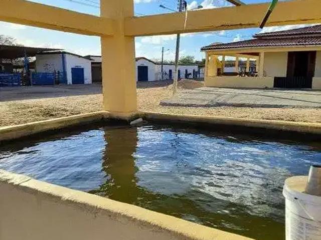 Sítio e chácara venda em Região Geográfica Imediata de Santa Cruz, Tangará