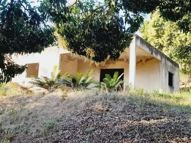 Sítio e chácara venda em Região Geográfica Imediata de Pato Branco, Mangueirinha