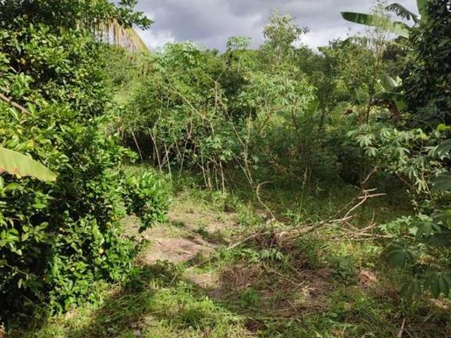 Sítio e chácara venda em Região Geográfica Imediata do Rio de Janeiro, Região Metropolitana do Rio de Janeiro