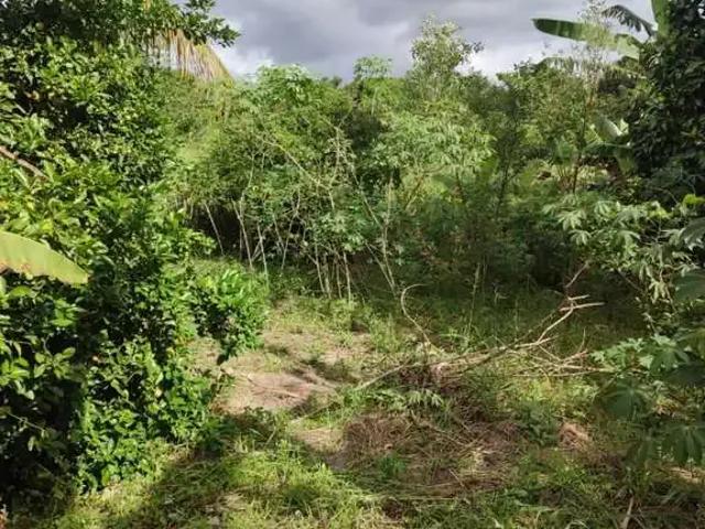 Sítio e chácara venda em Região Geográfica Imediata do Rio de Janeiro, Região Metropolitana do Rio de Janeiro