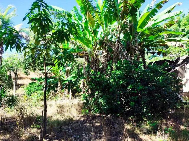 Sítio e chácara venda em Pachecos, Tanguá