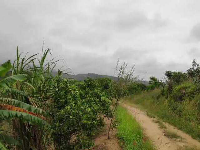 Sítio e chácara venda em Região Geográfica Imediata do Rio de Janeiro, Região Metropolitana do Rio de Janeiro