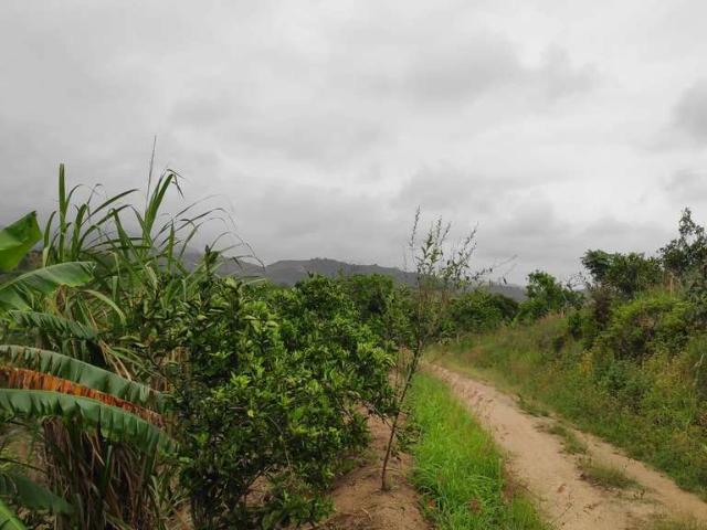 Sítio e chácara venda em Região Geográfica Imediata do Rio de Janeiro, Região Metropolitana do Rio de Janeiro