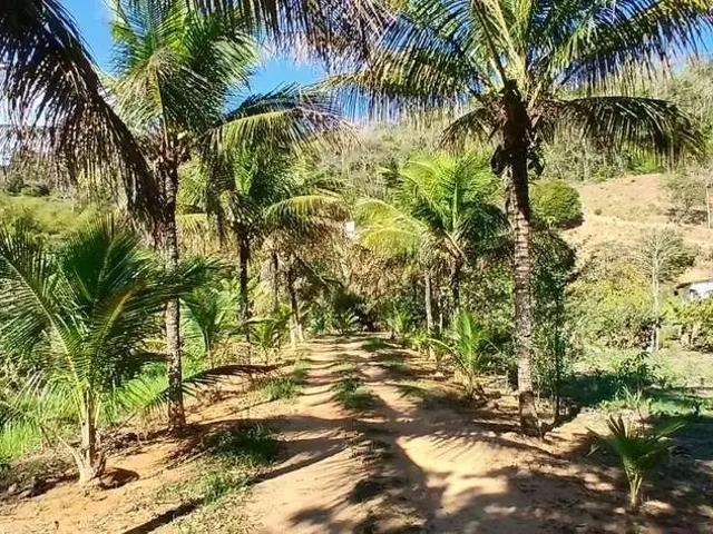 Sítio e chácara venda em Região Geográfica Imediata do Rio de Janeiro, Região Metropolitana do Rio de Janeiro