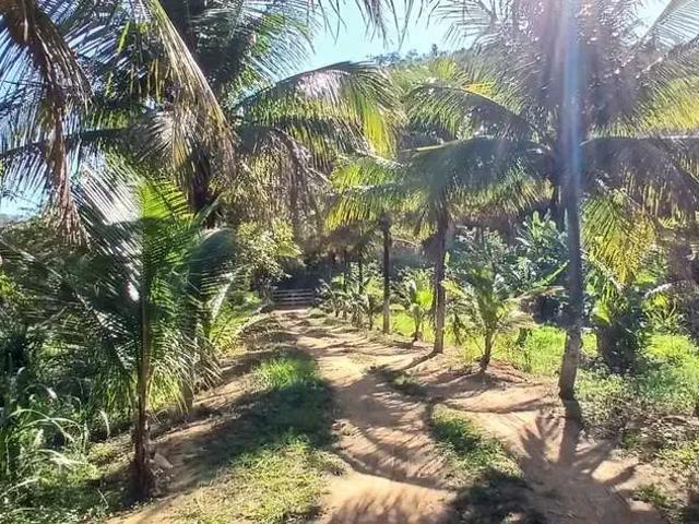 Sítio e chácara venda em Região Geográfica Imediata do Rio de Janeiro, Região Metropolitana do Rio de Janeiro