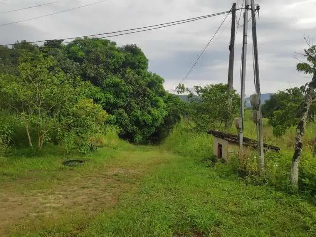 Sítio e chácara venda em Região Geográfica Imediata do Rio de Janeiro, Região Metropolitana do Rio de Janeiro