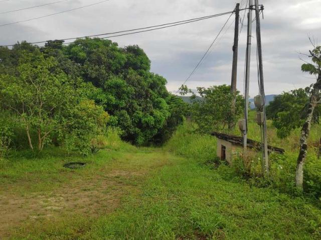 Sítio e chácara venda em Região Geográfica Imediata do Rio de Janeiro, Região Metropolitana do Rio de Janeiro