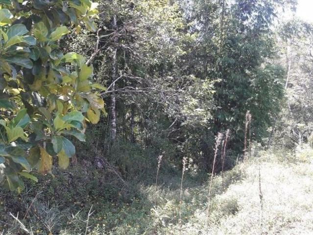 Sítio e chácara venda em Vila dos Limas, Tapiraí
