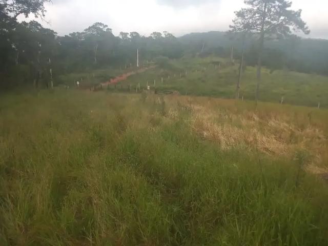 Sítio e chácara venda em Tapiraí