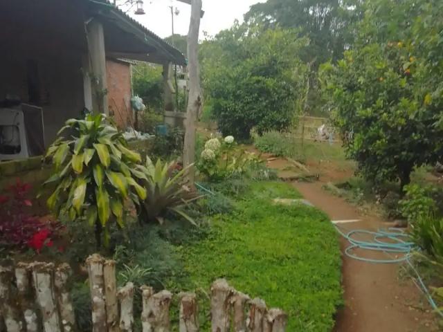 Sítio e chácara venda em Tapiraí