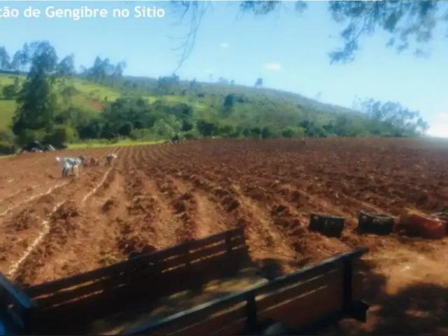 Sítio e chácara venda em Tapiraí