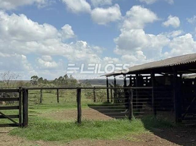 Sítio e chácara venda em Tapira, Região Geográfica Intermediária de Uberaba