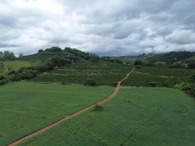 Sítio e chácara venda em Região Imediata de São José do Rio Pardo-Mococa, Tapiratiba