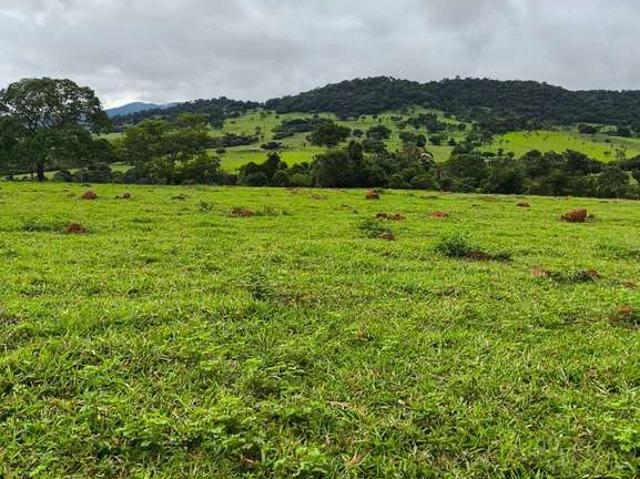 Sítio e chácara venda em Taquaral de Goiás, Região Geográfica Intermediária de Goiânia