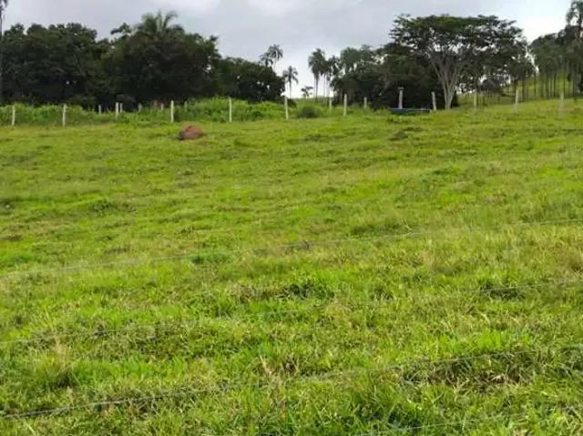 Sítio e chácara venda em Região Geográfica Imediata de Inhumas - Itaberaí - Anicuns, Taquaral de Goiás