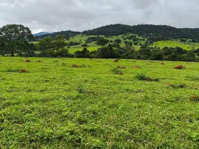 Sítio e chácara venda em Região Geográfica Imediata de Inhumas - Itaberaí - Anicuns, Taquaral de Goiás