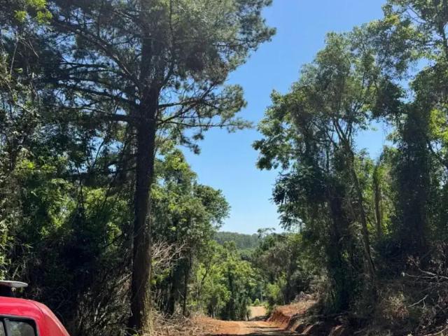 Sítio e chácara venda em Região Geográfica Imediata de Taquara - Parobé - Igrejinha, Região Metropolitana de Porto Alegre