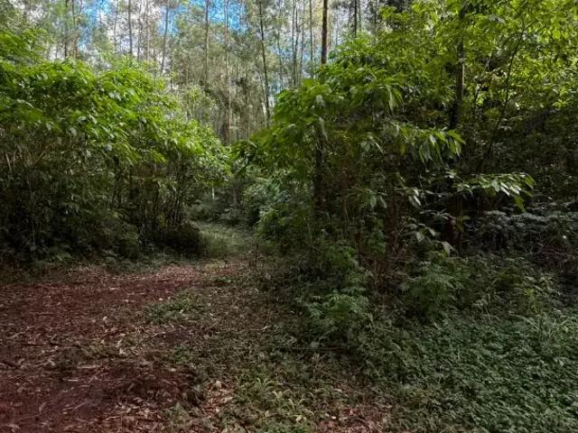 Sítio e chácara venda em Região Geográfica Imediata de Taquara - Parobé - Igrejinha, Região Metropolitana de Porto Alegre