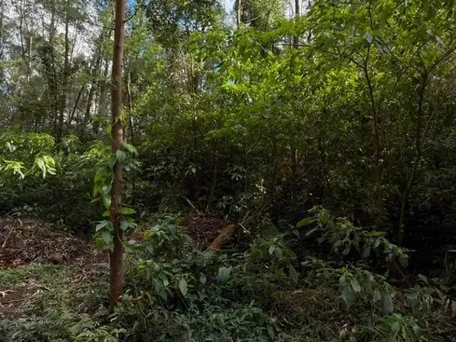 Sítio e chácara venda em Região Geográfica Imediata de Taquara - Parobé - Igrejinha, Região Metropolitana de Porto Alegre