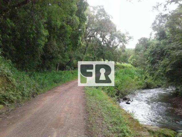 Sítio e chácara venda em Região Geográfica Imediata de Taquara - Parobé - Igrejinha, Região Metropolitana de Porto Alegre