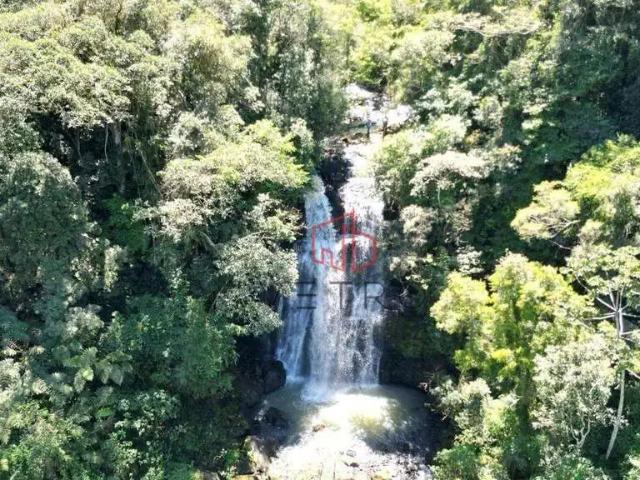 Sítio e chácara venda em Região Geográfica Imediata de Taquara - Parobé - Igrejinha, Região Metropolitana de Porto Alegre