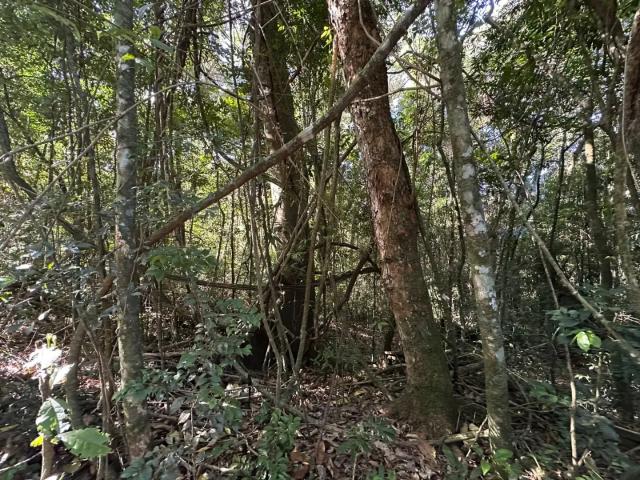 Sítio e chácara venda em Região Geográfica Imediata de Taquara - Parobé - Igrejinha, Região Metropolitana de Porto Alegre