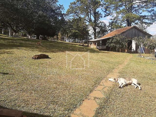 Sítio e chácara venda em Região Geográfica Imediata de Taquara - Parobé - Igrejinha, Região Metropolitana de Porto Alegre