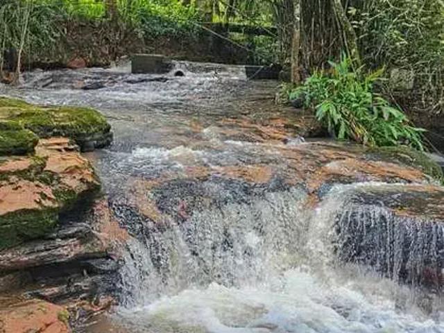 Sítio e chácara venda em Região Geográfica Imediata de Taquara - Parobé - Igrejinha, Região Metropolitana de Porto Alegre