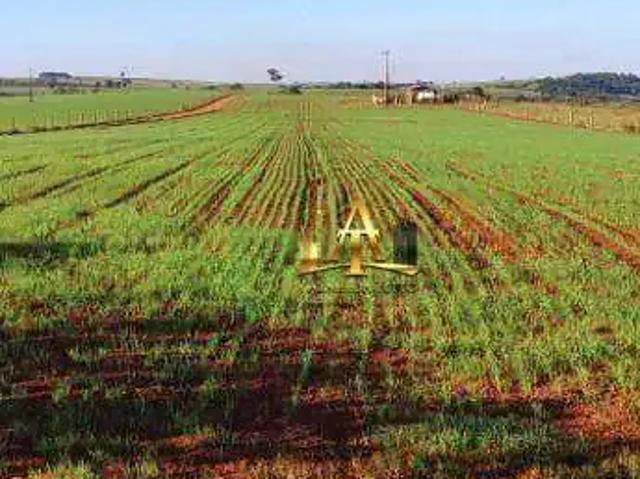 Sítio e chácara venda em Tatuí