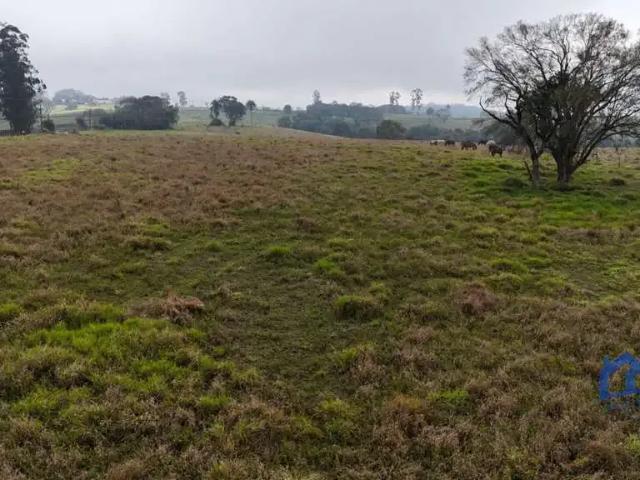 Sítio e chácara venda em Região Imediata de Tatuí, Região Metropolitana de Sorocaba