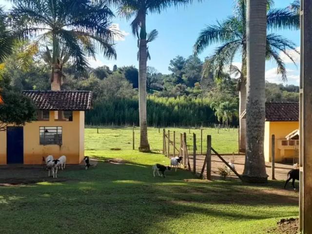 Sítio e chácara venda em Região Imediata de Tatuí, Região Metropolitana de Sorocaba