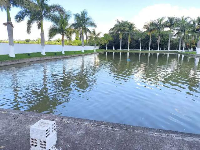 Sítio e chácara venda em Região Imediata de Tatuí, Região Metropolitana de Sorocaba