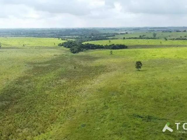 Sítio e chácara venda em Região Imediata de Tatuí, Região Metropolitana de Sorocaba