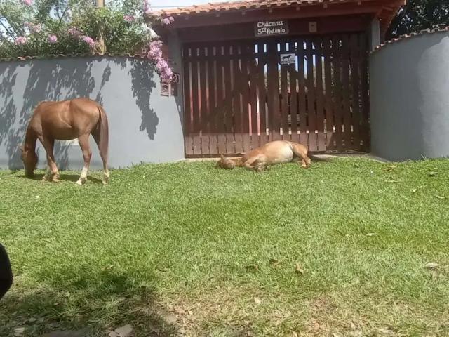 Sítio e chácara venda em Região Imediata de Tatuí, Região Metropolitana de Sorocaba