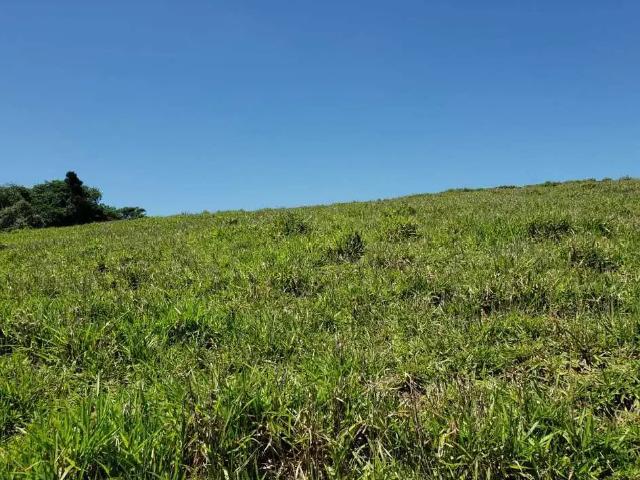 Sítio e chácara venda em Região Imediata de Tatuí, Região Metropolitana de Sorocaba