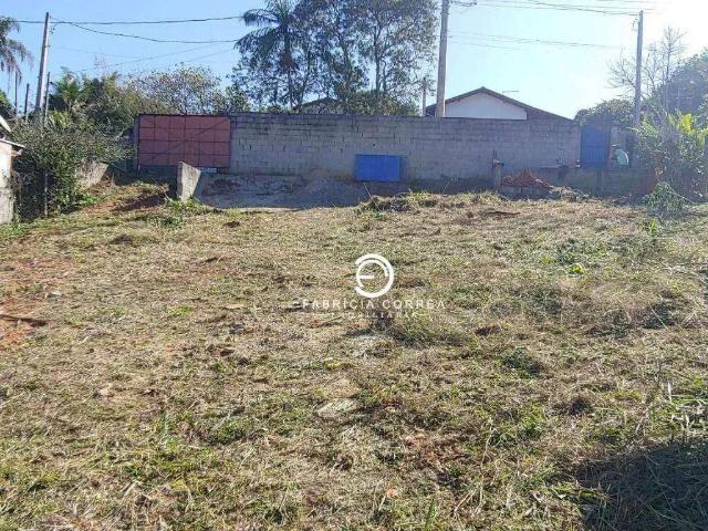 Sítio e chácara venda em São Gonçalo, Taubaté