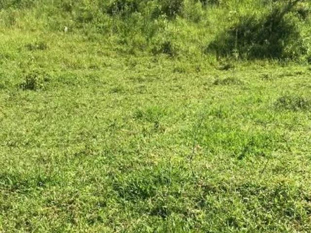 Sítio e chácara venda em Jardim da Luz, Taubaté