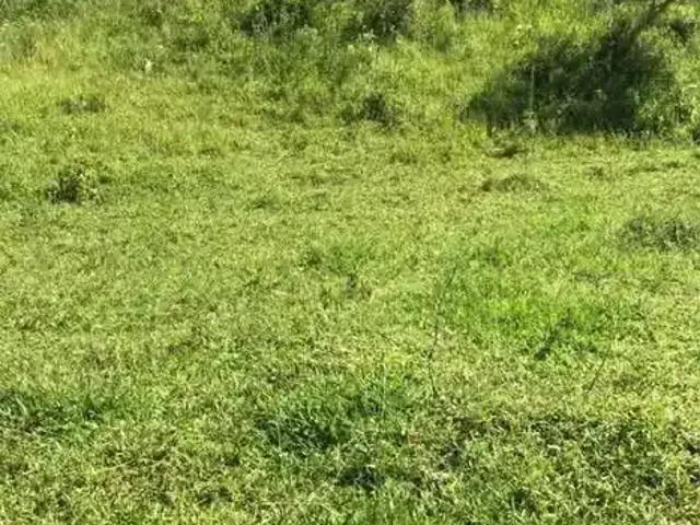 Sítio e chácara venda em Região Imediata de Taubaté-Pindamonhangaba, Região Metropolitana do Vale do Paraíba e Litoral Norte