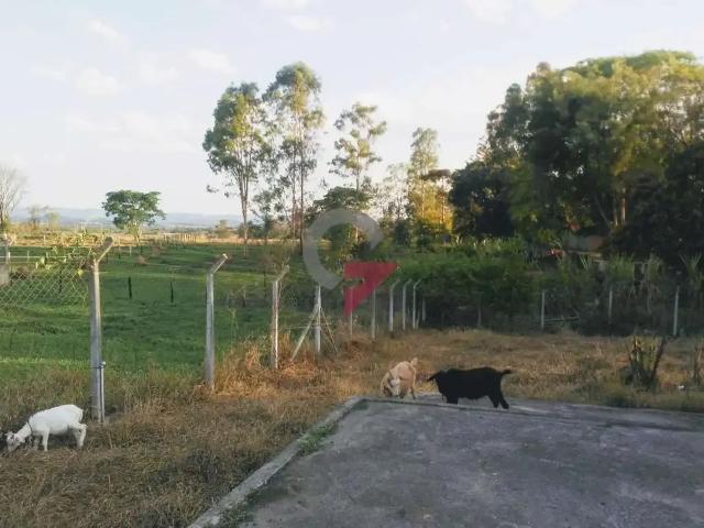 Sítio e chácara venda em Região Imediata de Taubaté-Pindamonhangaba, Região Metropolitana do Vale do Paraíba e Litoral Norte