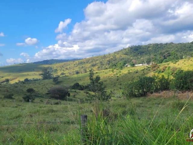 Sítio e chácara venda em Vila Iapi, Taubaté