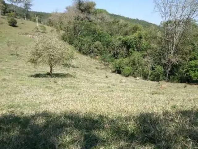 Sítio e chácara venda em Região Imediata de Taubaté-Pindamonhangaba, Região Metropolitana do Vale do Paraíba e Litoral Norte