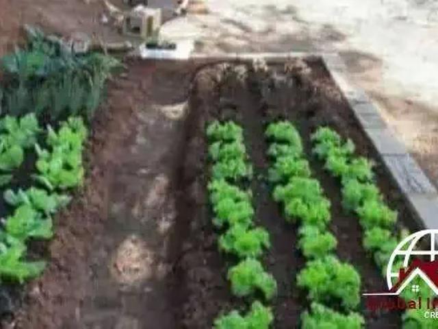 Sítio e chácara venda em Região Imediata de Taubaté-Pindamonhangaba, Região Metropolitana do Vale do Paraíba e Litoral Norte