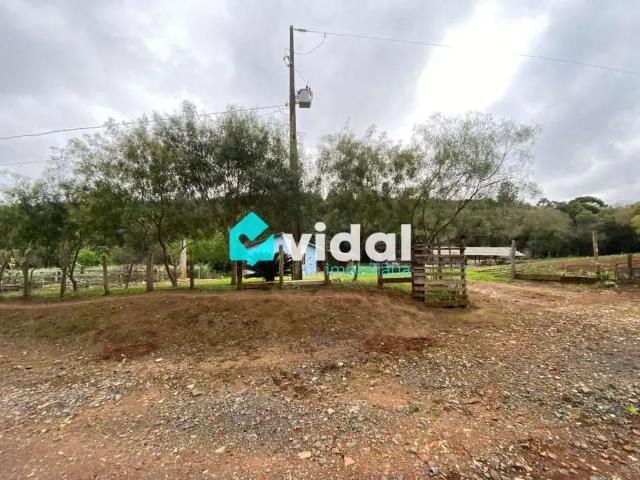 Sítio e chácara venda em Região Geográfica Imediata de Campos dos Goytacazes, São Fidélis