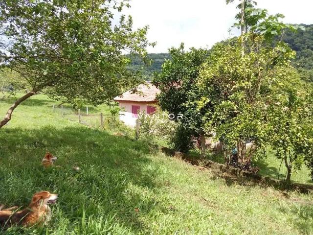 Sítio e chácara venda em Tenente Portela, Região Sul