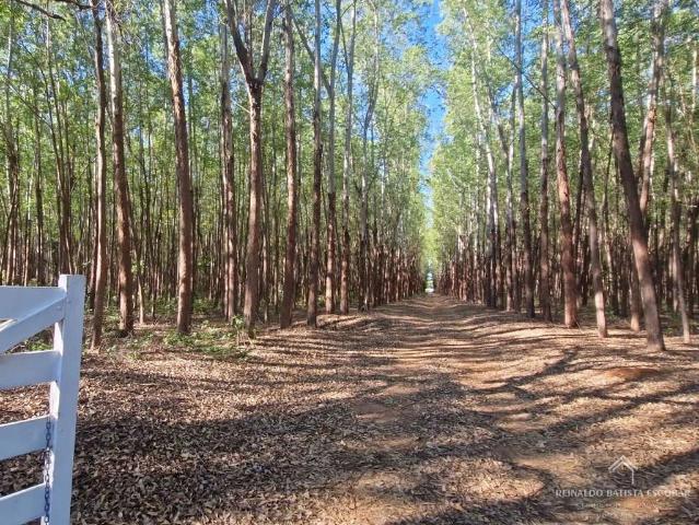 Sítio e chácara venda em Terenos, Região Geográfica Intermediária de Campo Grande